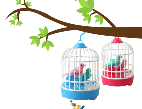Toy Bird Cage with Chirping Birds & Light Music – Colorful Kids Decorative Toy