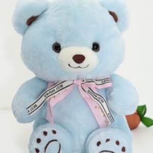 Premium Soft Teddy Bear Plush Toy – Cuddly Stuffed Animal with "Best Wishes" Ribbon (Sky Blue & Brown)
