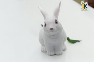 DSC_0008.jpg