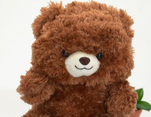 Classic Brown Fluffy Teddy Bear – Soft & Cuddly