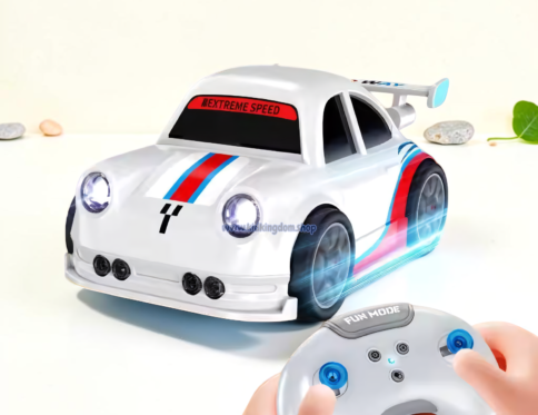 Fast Line Following Induction RC Car